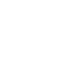 icon1